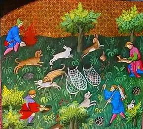 La chasse au furet, dans le Livre de chasse, de Gaston Fébus (1387).
