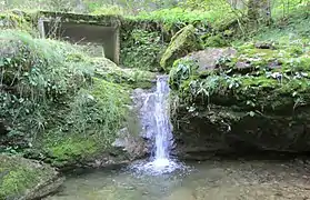 Petite cascade.