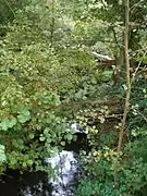 La Luce à Thézy-Glimont, juste avant la confluence avec l'Avre.