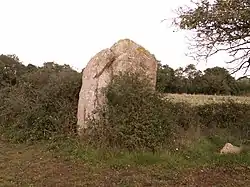 Menhir de la Mégerie