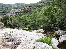 Gneiss dans le lit de la Massane un peu en amont du hameau de La Vall.