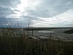 En arrière-plan, le sud de la baie, le Hourdel.