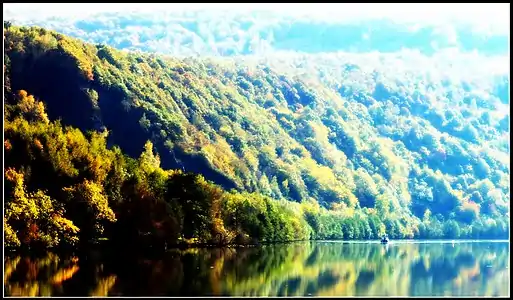 Meuse en aval d'Aubrives.