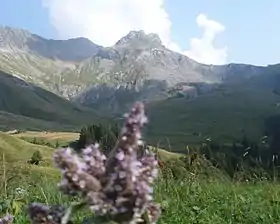 Vue du sommet de La Miaz depuis la Giettaz.