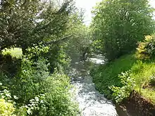 La Nièvre à Berteaucourt-les-Dames vue depuis la D12