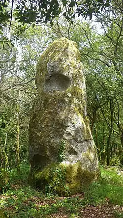 La "Quenouille du Diable" ou Iquem Mam Goz, un menhir géant situé à Cosquer Ven.