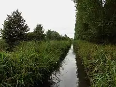 La Râches à Marchiennes.