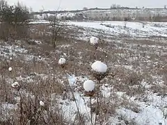 Le site sous la neige.