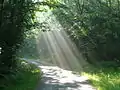 La Rebeyrolle, ambiance matinale sur le chemin de Saint Jacques de Compostelle