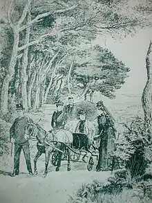 Victoria au Plantier, gravure