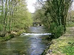 La Seille à l’entrée de Nevy-sur-Seille.