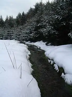 La Semouse à Bellefontaine en aval de Gérardfaing.