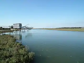 Carrelets en aval de Saujon.