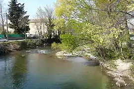 La Sorgue d'Entraigues