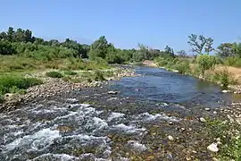 La Têt à Néfiach.