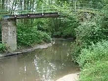 La Teyssonne au hameau de Teyssonne sur la commune de Briennon, passerelle