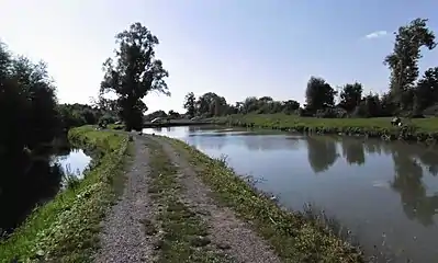 La Tortue étang de la gîte à Santes