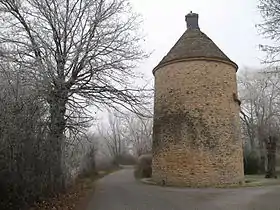 Image illustrative de l’article Château de la Tour de Romanèche