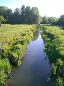 Petite rivière aux eaux très calmes coulant dans une prairie.