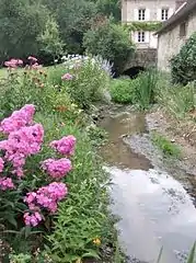 La Voise en aval du moulin