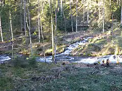 Affluent de rive droite entre Gérardmer et Kichompré.