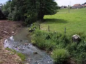 La Wame entre Meuse et Ardennes.