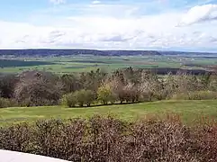 Les côtes de Meuse vues depuis la Butte de Montsec