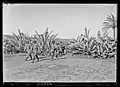 Passage du bataillon à l'oued Zem en 1913.