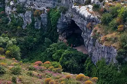 Grotte des Chauve-souris