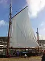 La nouvelle grand-voile du Milpat (2015).