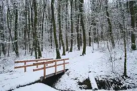 Le premier petit pont en hiver.