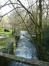 La Boutonne, dans le village de Dampierre-sur-Boutonne, est le plus long affluent de rive droite de la Charente.