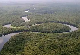 Photographie aérienne d'une forêt congolaise.
