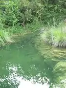 La rivière de Meaulx en juin.