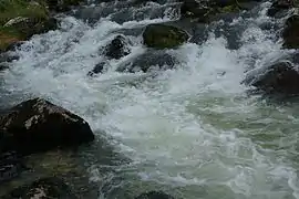 source de la Saine, eaux tumultueuses.