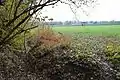 Bois du Laerbeek, prairie et chemin de fer