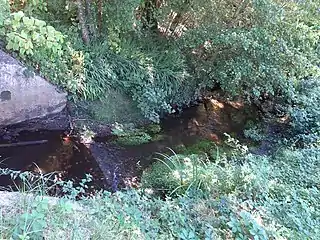 Ruisseau de la Moulasse à hauteur du plan d'eau du Barit