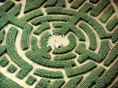 Barvaux : le Labyrinthe de Barvaux, un labyrinthe de maïs.