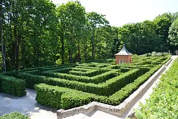 Labyrinthe de buis