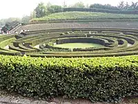 Le labyrinthe végétal