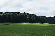 commune de Lac-des-Rouges-Truites, jeu d'ombres et de lumière sur la forêt du Mont-Noir.