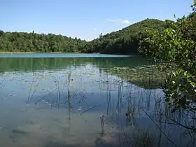 Image illustrative de l’article Lac d'Ambléon