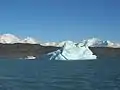 Iceberg sur le Lac Argentino.
