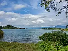 Baignade des enfants dans le lac Kivu