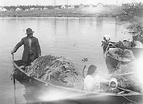 Arrivée des territoires de chasse. Lac Mistassini, 1947.