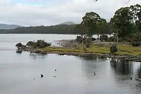 Image illustrative de l’article Lac Saint Clair (Tasmanie)