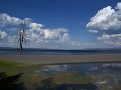 Lac Yellowstone à Grant Village.