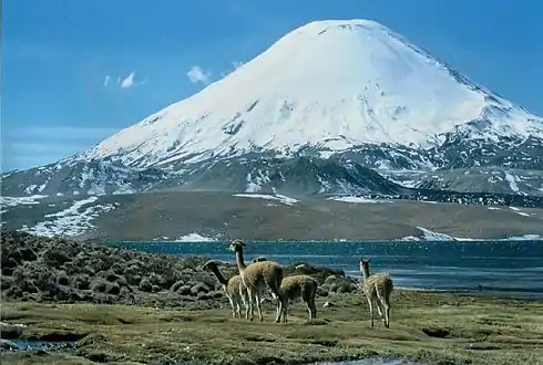 lac Chungará avec le volcan Parinacota