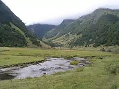 Tourbière en amont du lac d'Estaing.