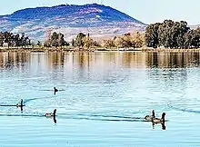 Lac -Sidi Mohamed Benali-